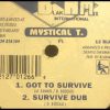 Mystical T ‎– Got To Survive Dub (Blakamix 12 ,1995)