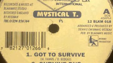 Mystical T ‎– Got To Survive Dub (Blakamix 12 ,1995)