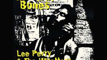 Lee Perry and The Upsetters – Musical Bones – 15 – A Wise Dub