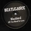 Beatlejuice – All You Need Is Love (Banzai Republic Remix)