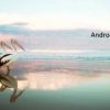 Androcell / Caribbeyond