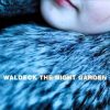 It Comes From You-Waldeck