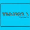 Roughneck (Project One Remix)