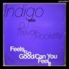 A – Indigo with Trevor Rockcliffe – Feels So Good