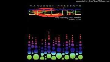 Spectre – Spectre Overseas (The Orb Remix)