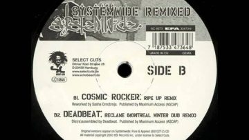 Systemwide – Reclame (Deadbeat Montreal Winter Dub Remix)