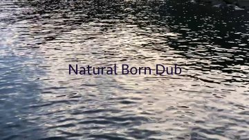 藤原ヒロシ Hiroshi Fujiwara – Natural Born Dub
