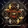 Declaration of Unity – Luminescent Revolution (goarec050 / Goa Records) ::[Full Album / HD]::