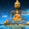 Elepho – Goa Journeys 2010-2011-2012 (goaLP032 / Goa Records) ::[Full Album / HD]::