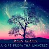 AciiD MooN – A Gift From the Universe (goaep211 / Goa Records) ::[Full Album / HD]::