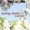 Analog Minds – Nazuna (goaep186 / Goa Records) ::[Full Album / HD]::