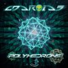 Androids – Polyhedrons (goaep159 / Goa Records) ::[Full Album / HD]::