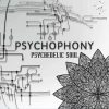 Psychophony – Psychedelic Soul (goaLP020 / Goa Records) ::[Full Album / HD]::