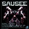 Sausee – Galaxy Unknown (goaep039 / Goa Records) ::[Full Album / HD]::