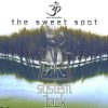 System Lock – The Sweet Spot (goaep165 / Goa Records) ::[Full Album / HD]::