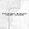 Convergent Evolution – Twilight Dizziness (goaLP033 – Goa Records)