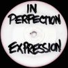 In Perfection – Expression (Fear Mix)