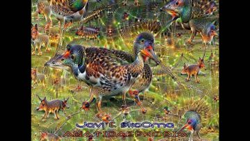 Javi and SkoOma – 1123581321 [Anatidaephobia]
