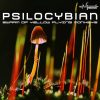 Psilocybian – Swarm of Yellow Flying Monkeys (ovniep061 / Ovnimoon Records) ::[Full Album / HD]::