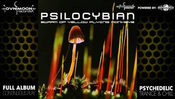 Psilocybian – Swarm of Yellow Flying Monkeys (ovniep061 / Ovnimoon Records) ::[Full Album / HD]::