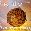 Tectum – Shower of Sparks (ovniep060 / Ovnimoon Records) ::[Full Album / HD]::