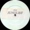 the junglist – taken to ecstacy – f project 003
