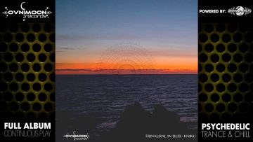 Trinaural in Dub – Haiku (ovniLP912 / Ovnimoon Records) ::[Full Album / HD]::