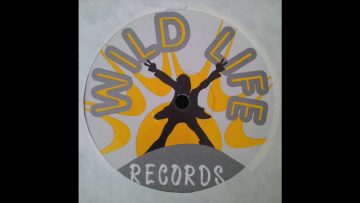 Barrington The X Groove Wild life WL01