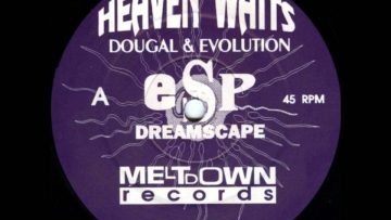 Dougal and Evolution – Virtual Reality