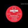 Radicall – In The Shade EP – Cantina Cuts 09 Preview Clips