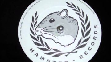 TERRORIZE – FEEL THE RHYTHM (Slammin Mix)