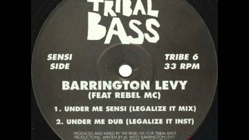 Barrington Levy Feat. Rebel MC – Under Me Sensi (Legalize It Mix)