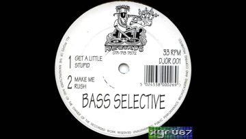 Bass Selective – Get A Little Stupid ᴴᴰ