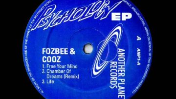 Fozbee and Cooz – Free Your Mind