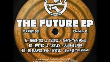 SHAR-PEI and SYSTEC – Tuffer Than Words [MANNEM 004]