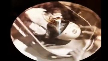 LIQUID MONOFUNCTION SPACEMONKEY