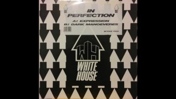 In Perfection ‎– Dark Manoeuvres