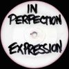 In Perfection ‎– Expression / Dark Manoeuvres (Clips)
