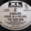 Liquid – The Year 3000 (Original Mix)