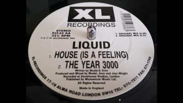Liquid – The Year 3000 (Original Mix)