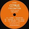 Citrus – Fascination 2008 Repress – Sublogic Recordings