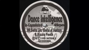 Dance Intelligence – Gotta Life