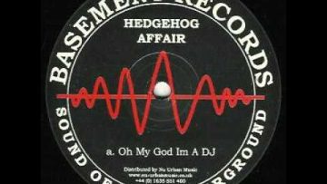 Hedgehog Affair – Oh My God, Im A D.J.