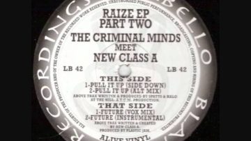 The Criminal Minds – Pull It Up (Side Down)