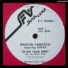 Random Vibration – Blow Your Mind (Instrumental Mix)