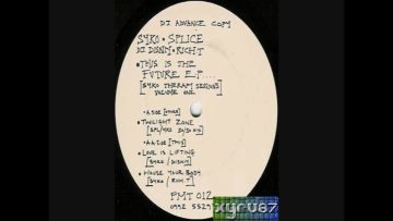 Syko and Disniy – Love Is Lifting [HD]