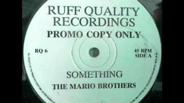 The Mario Brothers – Something