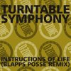 TURNTABLE SYMPHONY INSTRUCTIONS OF LIFE (BLAPPS POSSE REMIX)