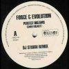 Force And Evolution – Perfect Dreams (DJ Storm Remix)