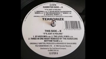 Terrorize – Its Just A Feeling (Three In One Night Remixed By The Hardcore Rhythm Team)